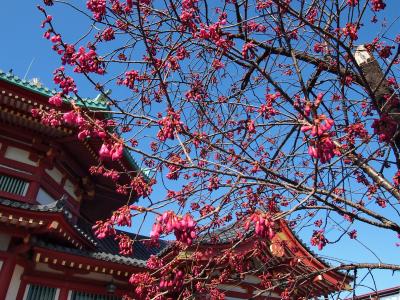 2021年2月　上野公園・寛永寺周辺