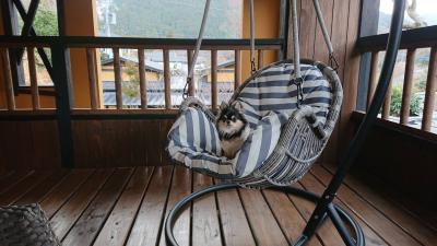 今年のお正月は愛犬真央ちゃんとの九州旅行 Part3