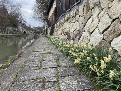 近江八幡 安土に関する旅行記 ブログ フォートラベル 滋賀県 近江八幡 安土に関する旅行記 ブログ フォートラベル 滋賀県