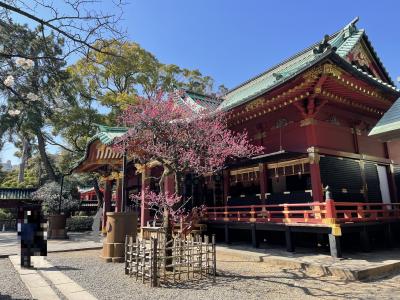 梅を見に出かけよう②パワースポット『根津神社』つつじ苑★大平製パン★焼肉うしくろ★今川焼千駄木★谷中銀座カフェグルメ★やなか珈琲店★福丸饅頭