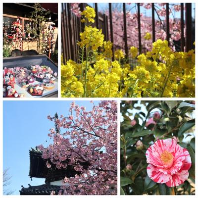 「桃の節句」に、京都で　“春”　見～つけた！