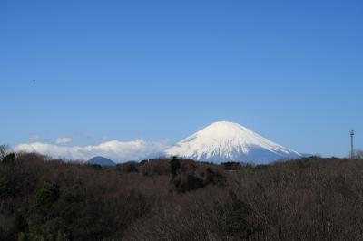 中井中央公園(神奈川県中井町）へ・・・