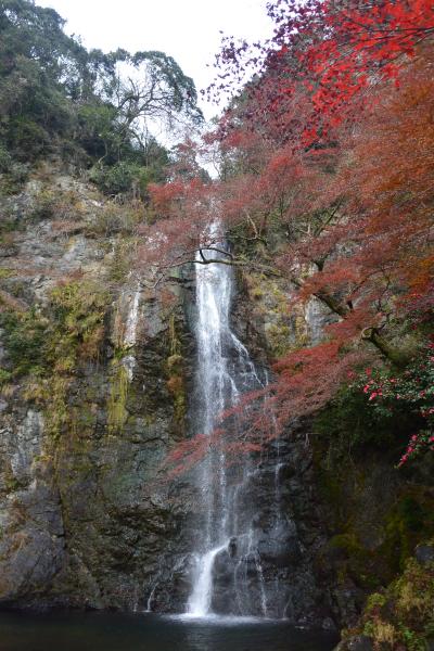 大阪・紅葉の箕面大滝まで、滝道を歩く。