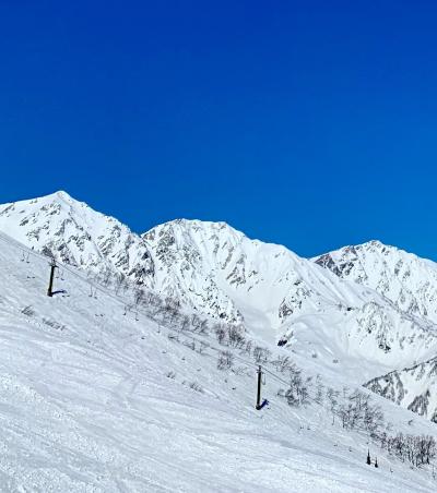 白馬村の休日☆2/14　快晴！絶景！絶好調！！ スキー日和の八方尾根スキー場(＾ｰ^)☆