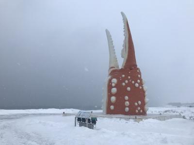 冬の北海道～流氷と犬ぞり体験