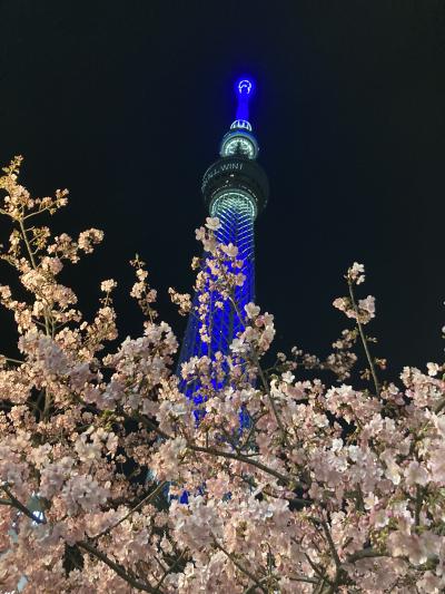 トーキョーウォーキング☆東京タワー600段の階段・河津桜ｘスカイツリー