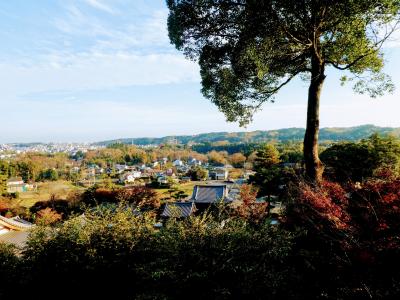 【武蔵野三十三観音】1 4 武蔵野三十三観音（26番　聖天院、27番　勝音寺、番外	靈巖寺）川に橋がないんですが・・・