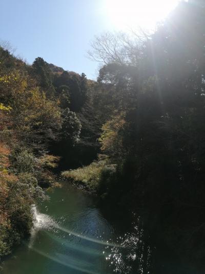 Go to travel  秋の散歩と山中温泉