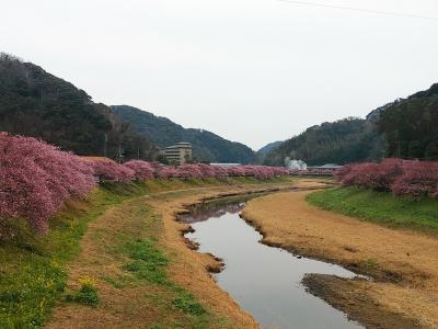 伊豆２０２１早春旅行記　【４】南伊豆２（下賀茂・弓ヶ浜周辺）