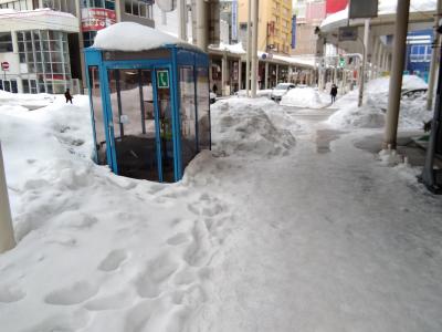 やっと雪国を撮ることができました。が寒すぎ。