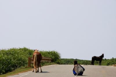 2011年夏：最果てマニアが沖縄の離島巡りをした話の３日目（2011.9.7）