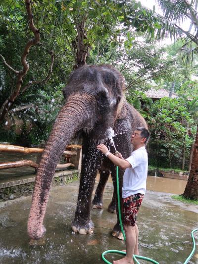 ロンボク島にもあるエレファントパーク　Lombok Elephant park