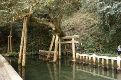 普段行かない近場の観光スポットに行ってみるシリーズ鹿島神宮編