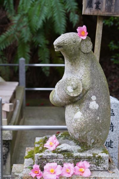 20210309-4 京都 大豊神社では、ネズミとヘビ、サルとトビにも逢えます。立派な梅も見頃。