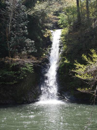 滝メグラーが行く１５８　岡山県新庄村の滝めぐり