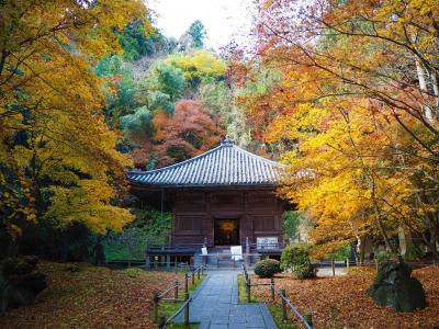 松島 奥松島 紅葉 に関する旅行記 ブログ フォートラベル 宮城県 松島 奥松島 紅葉 に関する旅行記 ブログ フォートラベル 宮城県