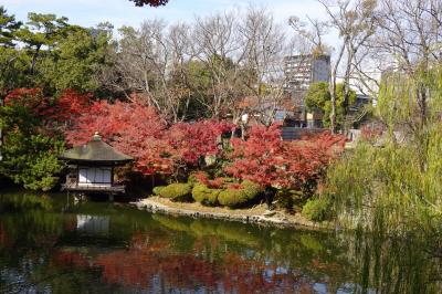 紅葉を求めて和歌山城内にある庭園へ