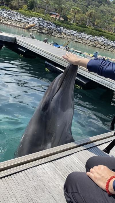 ３泊４日 ルネッサンスリゾートオキナワ②