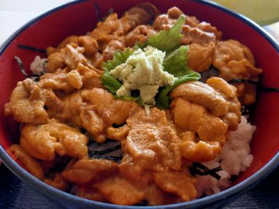 浅虫温泉にうに丼食べに行ってしまった日