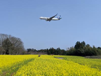 ありがとう！物流を支える成田空港を彩る飛行機たち(2020-2021)