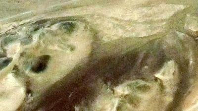 パノラマ写真集2021 06南米の旅からナスカ地上絵観光 in ペルー