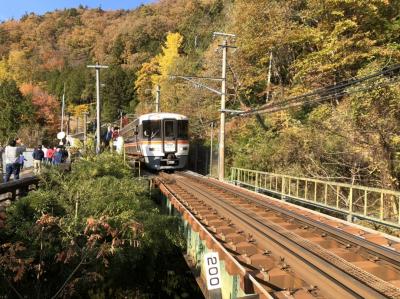 【飯田線秘境駅号】紅葉で彩られた秘境駅を特急型車両で巡る旅！！