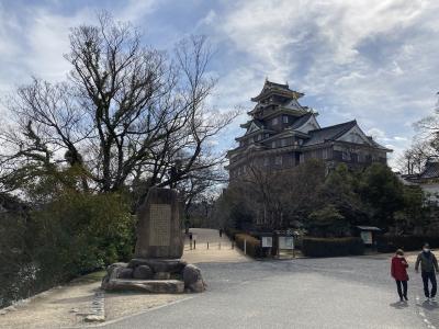 三朝温泉　依山楼岩崎と岡山梅鑑賞