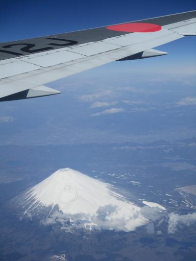 沖縄へのシーニックフライト＆那覇での猫と食事