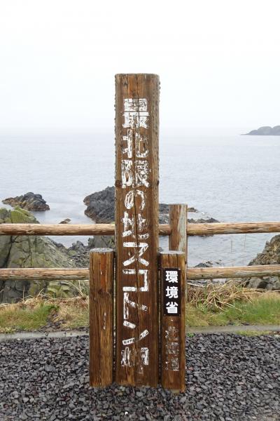 日本最北限の地に行く⑥～礼文島、ついに最北限へ～