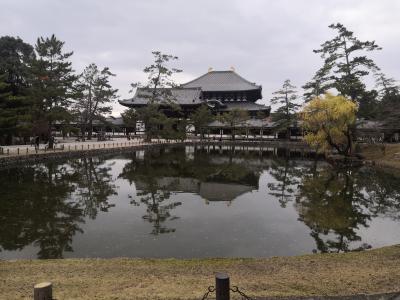 修職旅行 年末 奈良 12/12