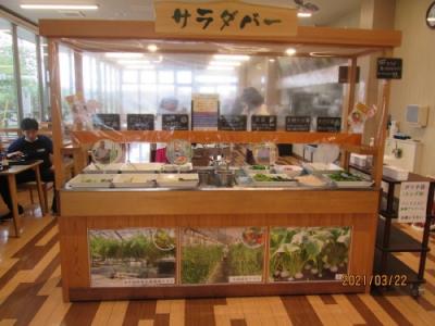 柏市の旧沼南町・「道の駅しょうなん」・野菜レストラン・2021年