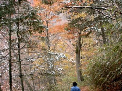 東京単身赴任時代の思い出　名残の紅葉を求めて、奥鬼怒から塩原温泉へ