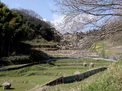春らんまん♪ 奥飛鳥路を歩く　my9時間コース　