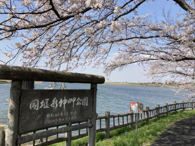 取手・つくばみらい・守谷を日帰り散策【旧取手宿、間宮林蔵関連、桜スポットなど】