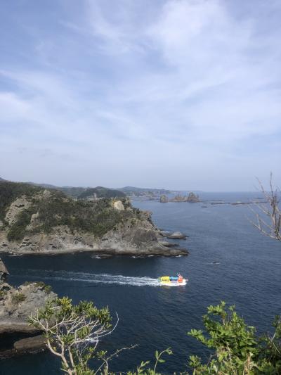 伊豆で海と桜を眺める日帰り旅