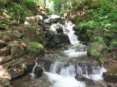 夏の蔵王お釜・ドッコ沼・鴫の谷地沼