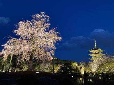 京都弾丸旅行