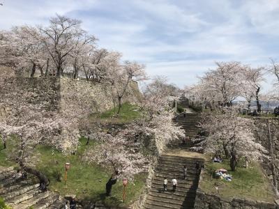 ～さくらさくら～津山の桜爛漫と因美線の秘境駅へ：大阪発、青春18きっぷの旅