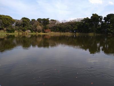 母を連れて大瀬崎、淡島泊