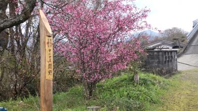 9-旧甲州街道 藤野駅～野田尻宿（3/28 10.5km 23000歩 ）