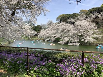 春風に桜の花びらが舞う満開の千鳥ヶ淵