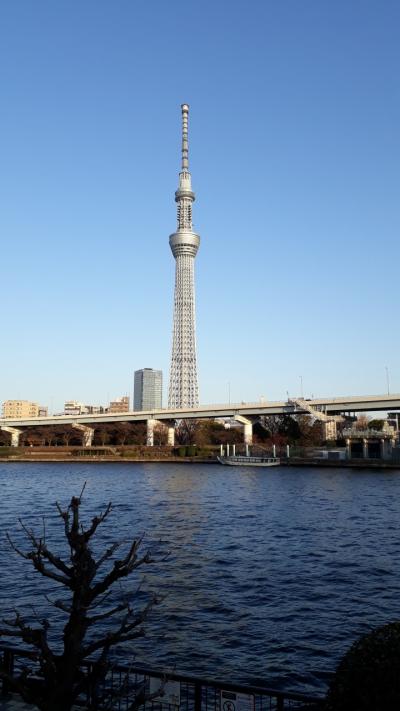 浅草散策(2)隅田川沿い公園から夕日に映える東京スカイツリー