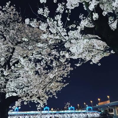 シニアトラベラー！密を避けて「お花見満喫ドライブ」