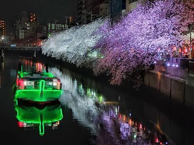 2021.3 横浜トリップ☆大岡川の桜～酔来軒～みなとみらい☆