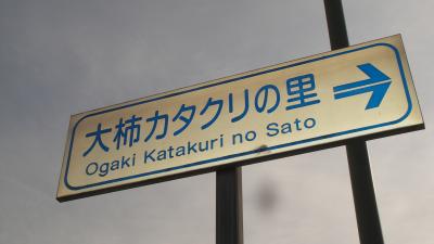 大柿（おおがき）カタクリの里」栃木県栃木市都賀町大柿地内