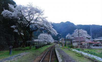 鉄印巡礼を兼ねた岐阜ローカル線　乗り鉄の旅（長良川鉄道・樽見鉄道・愛環・明知鉄道）