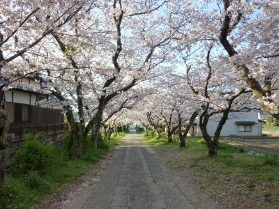 佐賀県　佐賀市・武雄温泉・嬉野温泉②日目