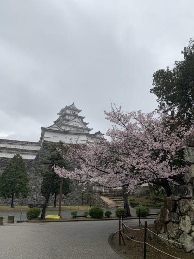 兵庫県 子連れ旅行 に関する旅行記 ブログ フォートラベル 兵庫県 子連れ旅行 に関する旅行記 ブログ フォートラベル