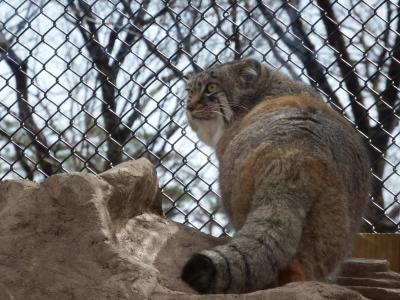 こども動物自然公園