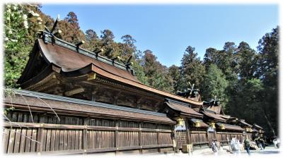 車中泊で熊野三山巡り